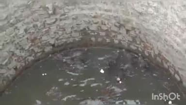 सिवनी: ग्राम पोंडी स्थित एक खेत के गहरे कुएं में गिरे 6 जंगली सुअर, वन विभाग ने किया रेस्क्यू
