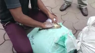 हुज़ूर: हमीदिया रोड पर पुरानी सब्जी मंडी से जब्त मावा निकला मिलावटी, 7 सैंपल फेल