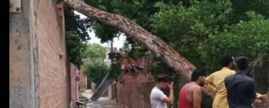 किशनी: तहसील क्षेत्र में आंधी के कारण क्षेत्र के 30 गांव की बिजली हुई गुल, एसडीओ ने कुछ घंटों में कराया सही