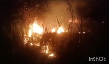 आगरा: रुनकता क्षेत्र में स्थित कीठम के जंगलों में लगी आग, कड़ी मशक्कत के बाद आग पर पाया गया काबू