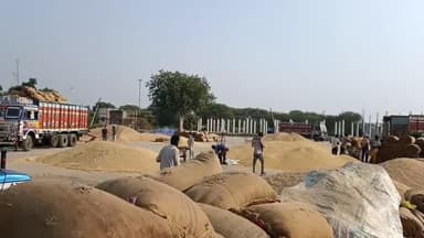 रतलाम नगर: रतलाम कृषि उपज मंडी में मेथी 5080 से ₹6071 प्रति कुंटल तक बिकी