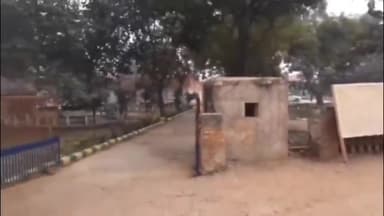 अलेवा: अलेवा गांव स्थित एक मकान में घुसकर महिला से छेड़छाड़ व मारपीट करने वाले युवक के खिलाफ केस हुआ दर्ज