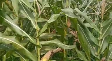 👌👌👌👌👌👌👌✌🏽✌🏽✌🏽✌🏽✌🏽👍👍👍👍👍