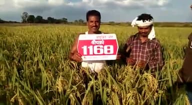 ✌🏽✌🏽✌🏽✌🏽✌🏽✌🏽💪💪💪💪👍👍👍👍👍👍👍