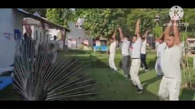 प्रतापगढ़: लालगंज कोतवाली में पुलिस कर्मियों की योगा क्लास में राष्ट्रीय पक्षी मोर का नृत्य करते वीडियो सोशल मीडिया पर हुआ वायरल