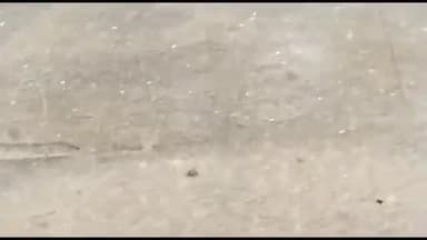 पिपलोदा: गांव चिपिया में तेज हवा-बारिश के साथ गिरे ओले, किसानों की फसलों को हुआ नुकसान