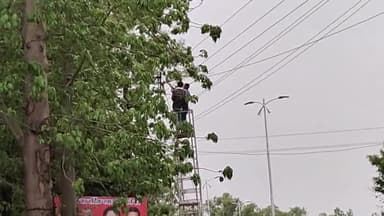 सिवनी: जिला मुख्यालय में बारिश एवं तूफान की वजह से बिजली के तार और खंभे क्षतिग्रस्त, विद्युत व्यवस्था भी प्रभावित