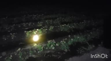 कसरावद: नावड़ातोड़ी रोड़ पर खेत में भरा पानी,किसान बोला नहर की सफाई नहीं करवाई गई