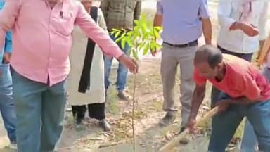 नावकोठी: विश्व पर्यावरण दिवस पर नावकोठी में पौधारोपण कार्यक्रम हुआ आयोजित, पर्यावरण संरक्षण के लिए निकाली गई पदयात्रा