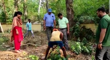 करपी: विश्व पर्यावरण दिवस के मौके पर करपी प्रखंड परिसर में किया गया वृक्षारोपण।