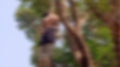 जयसिंहनगर: चरहेट में अज्ञात कारणों से युवक ने लगाई फांसी जांच में जुटी पुलिस