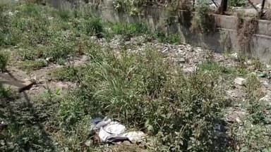 पानीपत: काबड़ी गांव से चौटाला रोड तक 13.5 KM ड्रेन नंबर 1 की सफाई में ₹58 लाख होंगे खर्च, मंगलवार रात से सफाई का काम होगा शुरू