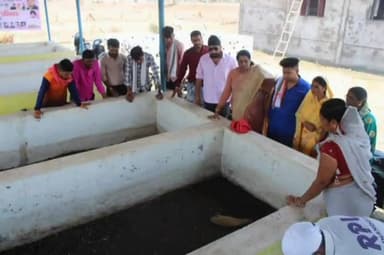 राजनांदगांव: राजनांदगांव के पार्रिनाला स्थित गौठान का महापौर हेमा देशमुख ने किया निरीक्षण