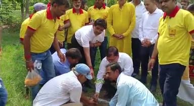 जहानाबाद: जिला व्यवहार न्यायालय परिसर में विश्व पर्यावरण दिवस के मौके पर वृक्षारोपण कार्यक्रम का हुआ आयोजन, जिला जज रहे मौजूद