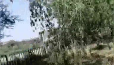 करनाल: हाईवे करनाल बलडी बाईपास पर टूरिस्ट बस का फटा टायर, सवारियों में रोष व्याप्त