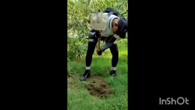 आगरा: पालीवाल पार्क में वर्ल्ड एनवायरनमेंट डे इंडियन डेंटल एसोसिएशन ने धूमधाम के साथ मनाया पर्यावरण दिवस