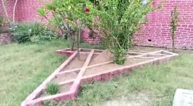 विश्व पर्यावरण दिवस के अवसर पर महापौर ने परमानंदपुर स्थित नवग्रह वाटिका में किया वृक्षारोपण, बच्चों में पेड़ किए वितरित