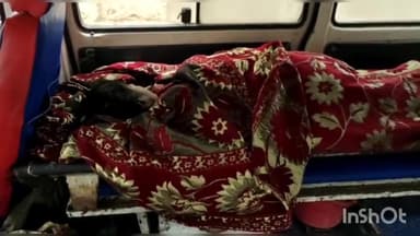 आरा: रामगढ़िया मीठा कुआं मोहल्ले में एक गर्भवती नवविवाहिता की गला दबाकर की गई हत्या