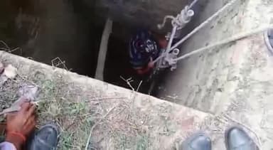 सलोन: ग्राम शंघई मिश्री का पुरवा में सूखे कुएं में गिरा मोर, फायर यूनिट की सहायता से निकाला गया सुरक्षित