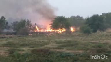 लखीसराय: विद्यापीठ पुल के समीप बगीचे में असामाजिक तत्वों द्वारा सिगरेट का तिल्ली फेंक देने से लगी आग