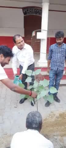 विश्व पर्यावरण दिवस के मौके पर डीएम ने सदर तहसील परिसर में किया पौधरोपण, एसडीएम सदर सुनील भारती समेत अन्य अधिकारी मौजूद।