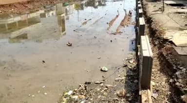 मंदसौर: संजीत रोड पर ओवरब्रिज निर्माण कार्य को लेकर खोदे गड्डों में भरा पानी, पनप रहे मच्छरों को लेकर लोगों ने जताया विरोध