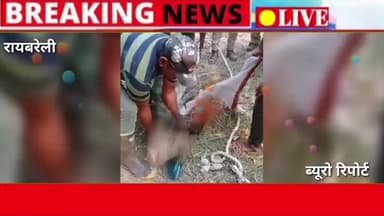 #रायबरेली #राष्ट्रीय_पक्षी_मोर कुवें में गिरकर फंसे फायर सर्विस द्वारा पहुचकर सुरक्षित बाहर निकाला।