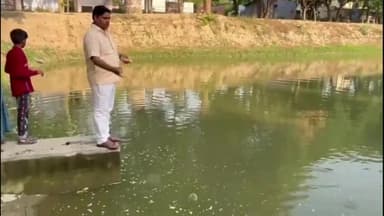 ज्ञानपुर: कूसौली गाँव  में स्थित हनुमान मंदिर के पास तालाब के मछलीयों  को आज जिला पंचायत सदस्य ने खिलाया दाना