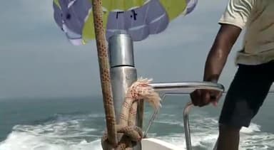 मानवता एक समुद्र की तरह है, विश्व महासागर दिवस पर आज़ प्रण करें कि हमारे महासागर, हमारी जिम्मेदारी है, सामाजिक, सांस्कृतिक और आर्थिक रूप से महत्वपूर्ण होने के
कारण महासागर हम सबके लिए अत्यंत उपयोगी है🙏

#विश्वमहासागरदिवस #WorldOceanDay #oc