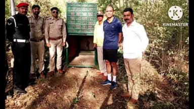 हुज़ूर: द्रोणाचल मिलिट्री एरिया में देखा गया तेंदुए का मूवमेंट, रात में घूमते पाया गया तेंदुआ