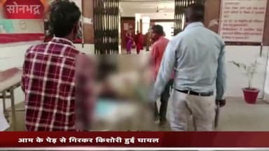 रॉबर्ट्सगंज: पेड़ से गिरकर 13 वर्षीय किशोरी हुई गंभीर रूप से घायल, जिला अस्पताल लाया गया