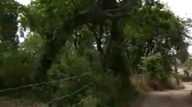 नरसिंहपुर: धमना गांव में भारी आंधी तूफान और बरसात के चलते रोड के बाजू में लगी दुकान हुई धराशाई