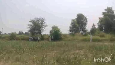 हनुमाननगर: हनुमान नगर प्रखंड के नरसारा पंचायत के वार्ड सदस्य ने बिहार सरकार की जमीन पर किया कब्जा सरकारी योजना निर्माण होने से किया