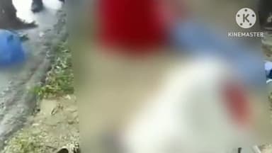 मिलक: मिलक तहसील क्षेत्र के गांव पीपला के निकट चलती बाइक पर सांड ने किया हमला चालक घायल