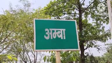 रहुई: बिजली विभाग के साथ हुई मारपीट के बाद विभाग ने अंबा गांव के 200 घरों की काटी बिजली, 48 घंटे बाद गांव में बिजली हुई बहाल