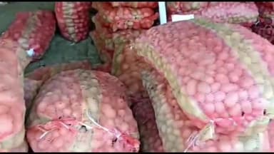 मुरादाबाद: मुरादाबाद में आलू के दाम छू रहे हैं आसमान,₹1600 कुंटल पहुंचा आलू