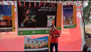 S 4003 धान का है ए कमाल  विपरीत परिस्थितियों में भी देता है पैदावार बेमिसाल और खाने में स्वादिष्ट चावल  तो अपने खेतों मे