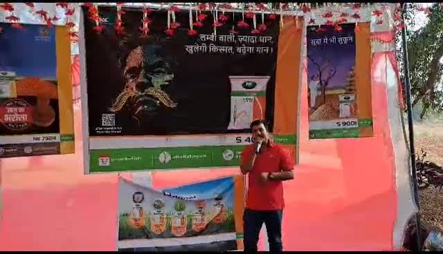 S 4003 धान का है ए कमाल  विपरीत परिस्थितियों में भी देता है पैदावार बेमिसाल और खाने में स्वादिष्ट चावल  तो अपने खेतों मे
