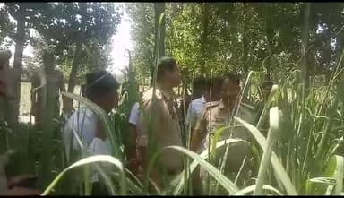 बहेड़ी: नारायण नगला चौकी क्षेत्र में गन्ने के खेत में मिले गोवंशीय पशु के अवशेष, CO कोतवाल पुलिस के साथ घटनास्थल पर पहुंचे