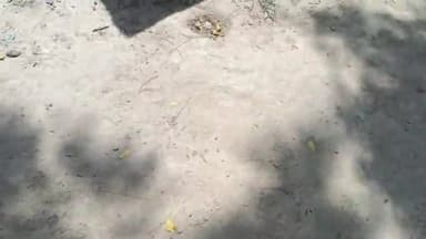 बलरामपुर समाचार ग्राम की गर्भवती धात्रीमहिलाओं ने गांव की आंगनबाड़ी कार्य करती सेना पांडे पर लगाया सरकार द्वारा दिए जाने वाले सामानों की बिक्री करने का आरोप मामला ग्राम मोहम्मदपुर सोनहोड़ा ग्राम पंचायत तेंगहिया मान कोर्ट विकासखंड बलरामपुर क