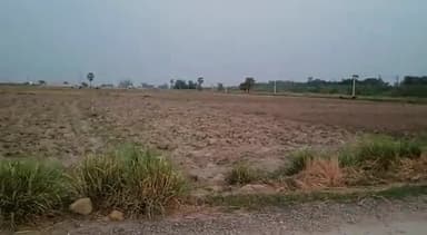 इसुआपुर: खेत जोतने के विवाद को लेकर इसुआपुर के परसा में हुई मारपीट