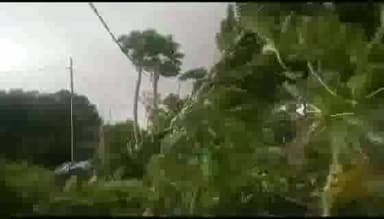 जलालगढ़: जलालगढ़ प्रखंड में आए तेज हवा पानी से बिजली रही बाधित। वही लोगों को मिली भीषण गर्मी से राहत।