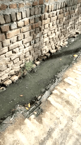 गांव कमालपुर की हालत बेकार गांव की कीचड़  ने किया गांव का दौरा हाल प्रधान नसरुद्दीन #डब्ल्यूटीसी