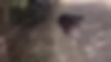 जीजा ने साले को मारी थी गोली, ट्रॉमा सेन्टर में डॉक्टरों ने घायल गोपाल सिंह को मृत घोषित किया