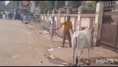 गुना नगर: नगर पालिका गुना के सफाई कर्मियों ने 8 सूत्रीय मांगों को लेकर हड़ताल की शुरू, शहर में गंदगी व कचरे के लगे ढेर