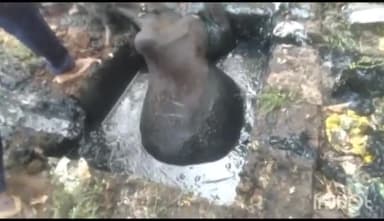 गुना नगर: पुलिस लाइन गुना में खुले पड़े लैट्रिन के पुराने सेफ्टी टैंक में गिरी गाय, गौ सेवकों ने बाहर निकालकर पहुंचाया कैंट गौशाला