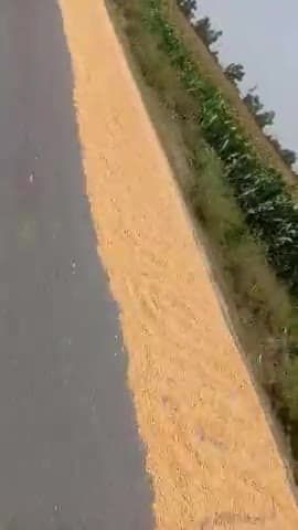 कन्नौज के ठठिया मानीमऊ रोड पर फैली हुई मक्का जिससे हो सकती है कोई भी दुर्घटना
#roadaccident #kannauj #dmkannauj #crimes