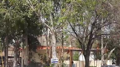 जावरा: भीमा खेड़ी अंडर ब्रिज के पास जावरा स्थान पर पुलिस ने सार्वजनिक स्थान पर शराब पीते एक व्यक्ति को किया गिरफ्तार