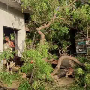 सलोन: थाना क्षेत्र डीह में संतोषी माता मंदिर के पास अनियंत्रित ट्रक पेड़ से टकराया, चारपाई पर सो रहा व्यक्ति गंभीर रूप से घायल