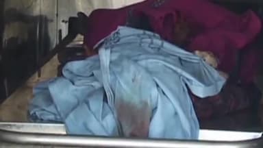 जयसिंहनगर: सिंचौरा में डेढ़ वर्षीय बच्ची की सांप के काटने से हुई मौत, जांच में जुटी पुलिस